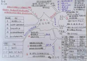 人教版高中化学必修第一册《钠及其化合物》思维导图