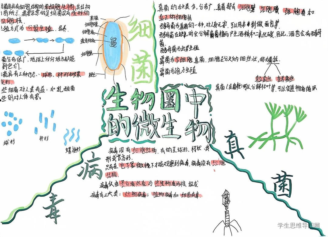 北师大版八年级上册第18章《生物圈中的微生物》思维导图平