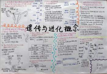 浙教版九年级下册科学《遗传与进化》思维导图