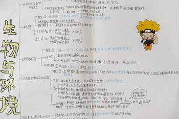 九年级科学下册第2章生物与环境《生态系统的结构和功能》思维导图