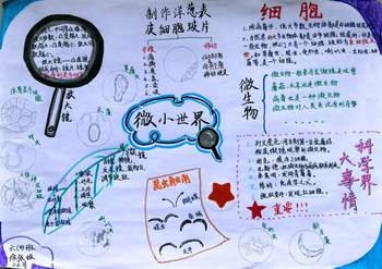 6张教科版科学六上《微小世界》思维导图作品