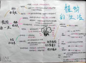 苏教版三年级下册科学第一单元《植物的一生》思维导图作品