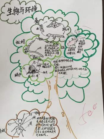 小学科学六年级上册《生物与环境》思维导图