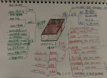 外研版六年级上册-Module8知识点思维导图