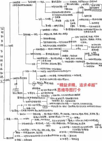 浙教版科学七年级上《细胞的发现和细胞学说》知识点思维导图