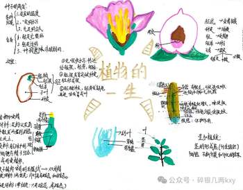 苏教版三年级科学下册第一单元《植物的一生》知识点思维导图