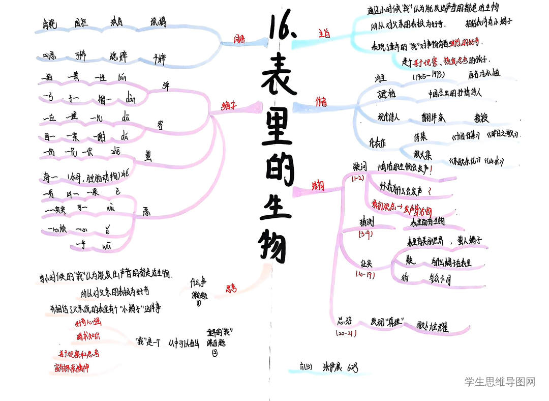 部编版语文六下第5单元《表里的生物》思维导图简单