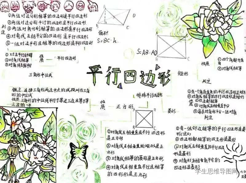 小学六年级上册数学《平行四边形》知识点思维导图解析