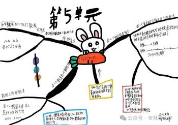 小学三上册第五单元《倍的认识》思维导图