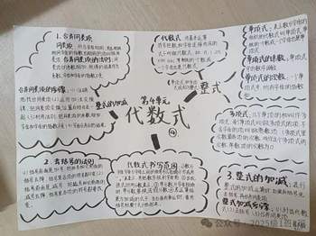 浙教版初中数学七年级上册第四单元《代数式》思维导图