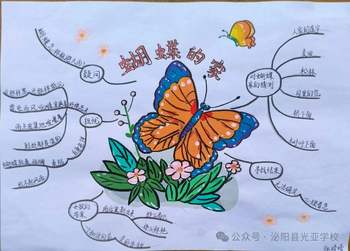 2025部编版四上语文第8课《蝴蝶的家》思维导图