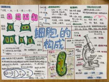  七年级科学《细胞的构成》思维导图怎么画