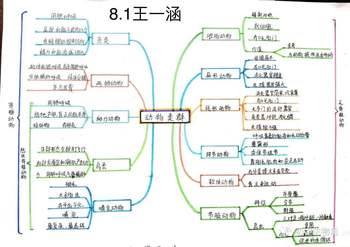八年级生物《动物的主要类群》思维导图怎么画