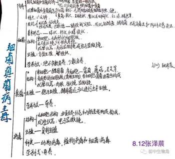 12张八年级生物《细菌、真菌、病毒》知识点思维导图